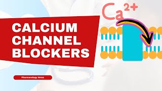 How Calcium Channel Blockers Work Pharmacology amp Mechanism Of Action [upl. by Gnil]