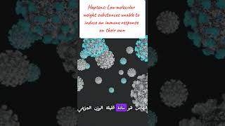 Immunogen Antigen Haptens amp Epitopes مفاهيم مهمة لفهم المناعة medicalstudent lnl immunology [upl. by Yecart]