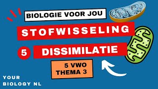 5 vwo  Stofwisseling  5  Dissimilatie [upl. by Maurits]