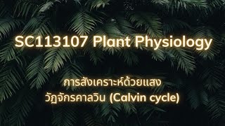 SC113107 Plant Physiology  วัฏจักรคาลวิน Calvin cycle [upl. by Eyk788]