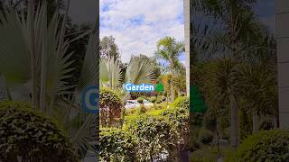 WOW PGI Chandigarh 🏡 pgi chandigarh garden trending stree2 [upl. by Mina]