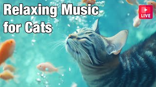 🔴LIVE Cat Music🎵 Calming Music for Cats Deep Sleep🐶 🎵 Separation Anxiety Music for Cats Relax🔴 [upl. by Alamat]