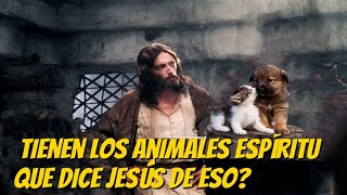 Tienen los animales espíritu qué dice Jesús [upl. by Mina]