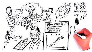 48Plex Human Cytokine Screening Assay  Build Your Biomarker Map [upl. by Nananne344]