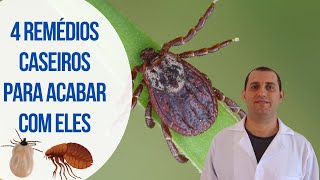 4 remédios caseiros para combater pulgas e carrapatos [upl. by Gwenora]