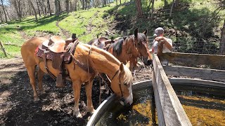 Day in the Life of an American Rancher [upl. by Ahsinert]