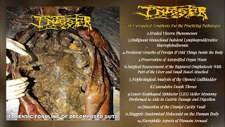 Infester  Forensic Fondling of Decomposed Guts FULL 2023 Pathological Goregrind [upl. by Nonnaer]