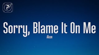 Akon  Sorry Blame It On Me Lyrics [upl. by Dorothy]