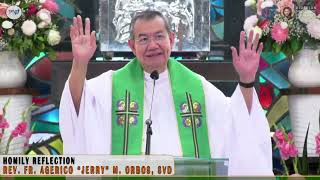 𝗪𝗛𝗢 𝗶𝘀 𝗖𝗛𝗥𝗜𝗦𝗧 𝘁𝗼 𝗬𝗢𝗨  Homily 15 Sept 2024 with Fr Jerry Orbos  24th Sunday in Ordinary Time [upl. by Nnaeerb]