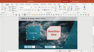 How to copy paste design formatting in PowerPoint [upl. by Gibrian]