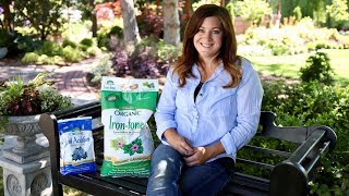 How Iron Tone Can Help Plants Grow [upl. by Kiri528]