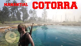 MANANTIAL DE LA COTORRA RED DEAD ONLINE COTORRA SPRINGS RDR2 [upl. by Deeann532]