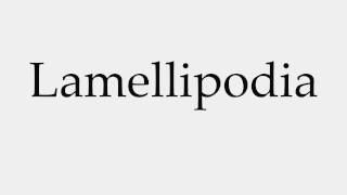 How to Pronounce Lamellipodia [upl. by Legnaesoj]