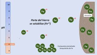 Cap103 Deficiencias nutricionales en las plantas [upl. by Graham187]