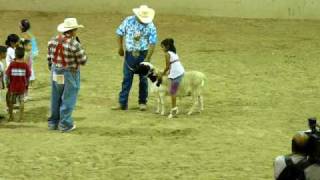 Monta de borrego de niños  Rodeo de la Expo Feria Guadalupe 2009 [upl. by Esdras204]