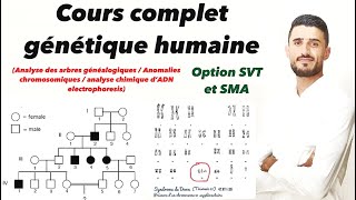 Cours complet la génétique humaine  arbre généalogique  anomalies chromosomiques  Électrophorèse [upl. by Llevart]