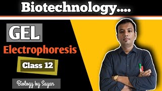 Gel Electrophoresis Biotechnology Class 12 NEET [upl. by Rednas]