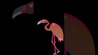 Flamingo Animation designer animation design [upl. by Tansey]