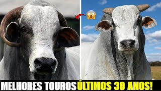 Os melhores TOUROS NELORE de pista DOS ÚLTIMOS 30 anos fazendaeboi [upl. by Gunthar]