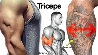 GET WIDER triceps And Forearms GROW FAST  ARMS Workout [upl. by Ellerred17]