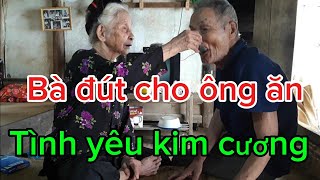 Tình yêu kim cương của hai ông bà trăm tuổi Chăm nhau như mới cưới [upl. by Kries228]