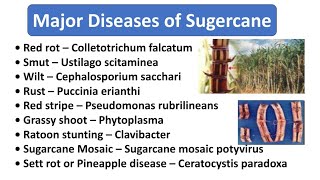 Major Diseases of Sugarcaneगन्ने के फसल के मुख्य रोग। [upl. by Nepil]