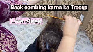 How to do Back Comb basic education by Lashes Beauty Parlour  How to make front puff [upl. by Llednil]