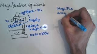 Magnification Equations GCSE [upl. by Ahtinak]