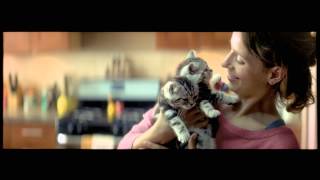 WHISKAS® Nederland  Big Cat Kitten Commercial 2014 [upl. by Daegal]