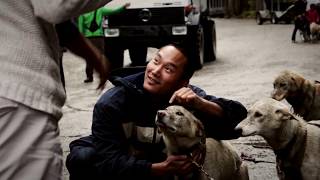 Mushers Camp and Sled Dog Adventure  Skagway Alaska [upl. by Peder]