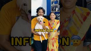 Pogo Ko Infection Hogya😢😢 shorts vlog minivlog pets labrador [upl. by Lhok]