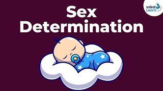 Genetics  Sex Determination  Lesson 19  Dont Memorise [upl. by Nemraciram]