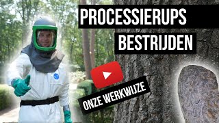 Eikenprocessierups bestrijden  Uitleg van de professional [upl. by Pope]