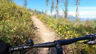 Fernie Ridge Aug 2024 [upl. by Leta351]