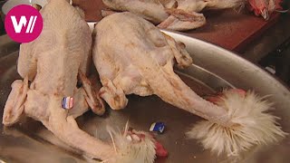 Zu Tisch in der Bresse  Französisches Huhn mit Nationalfarben [upl. by Akerehs]