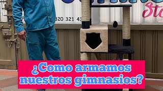 ¿Como armamos nuestros gimnasios para gatos [upl. by Ennirroc587]