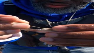 How to hook minnows to catch more Crappie [upl. by Sardse460]