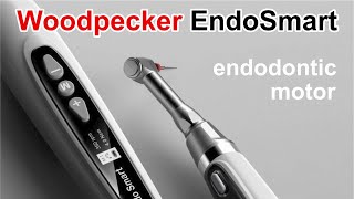 Woodpecker EndoSmart Endodontic Motor Review [upl. by Teraj491]