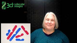 How to Model a Karyotype [upl. by Kerwinn]