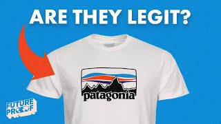 Is Patagonia REALLY Sustainable [upl. by Slayton]