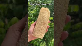 তোমরা কী এরকম loofah বানিয়েছো কখনো [upl. by Anolla]