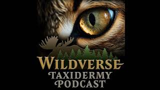 Episode 10  Wear Your Gloves Diseases Viruses and other Health Risks to Taxidermists [upl. by Glassman166]