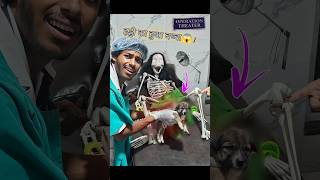 Haddi💀का कुत्ता हुआ😱😱 comedy dog [upl. by Rorrys]