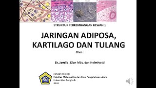 Kuliah Animal Histology and AnatomyPengantar Jaringan Ikat Khusus Introduction Connective Tissue [upl. by Giffer225]