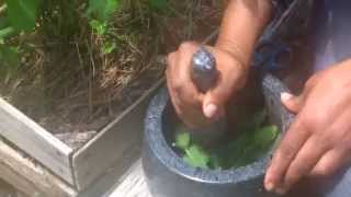 How to make peppermint oil The ghetto Muslim Housewife [upl. by Idalia]