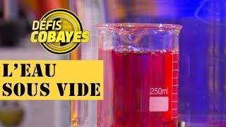 Comment varie la température de leau sous vide   Défis Cobayes  France 4 [upl. by Ybbor]