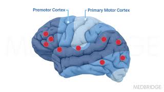 Therapeutic Neural Correlates of Motor Learning  Dustin R Grooms  MedBridge [upl. by Rabka]