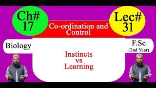 Biology Ch17Lecture31 Instincts vs learning FSc 2nd Year [upl. by Nomal826]