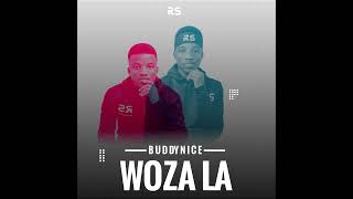 Buddynice  Woza La Redemial Mix [upl. by Godspeed]