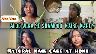 Aloe Vera Se Shampoo Kar Liye  Simple And Easy Hair Care At Home [upl. by Eenobe642]